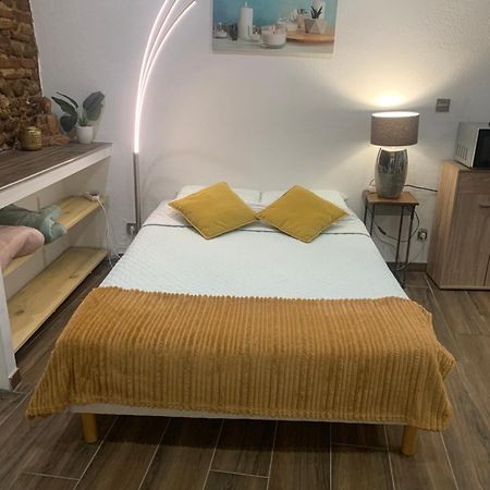 Studio 25M2 En Plein Coeur De Perpignan Luaran gambar