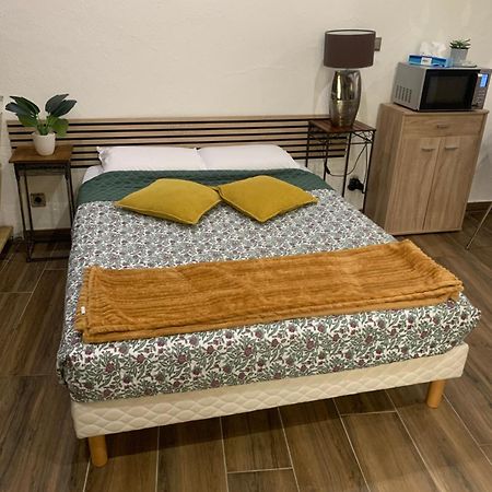 Studio 25M2 En Plein Coeur De Perpignan Luaran gambar