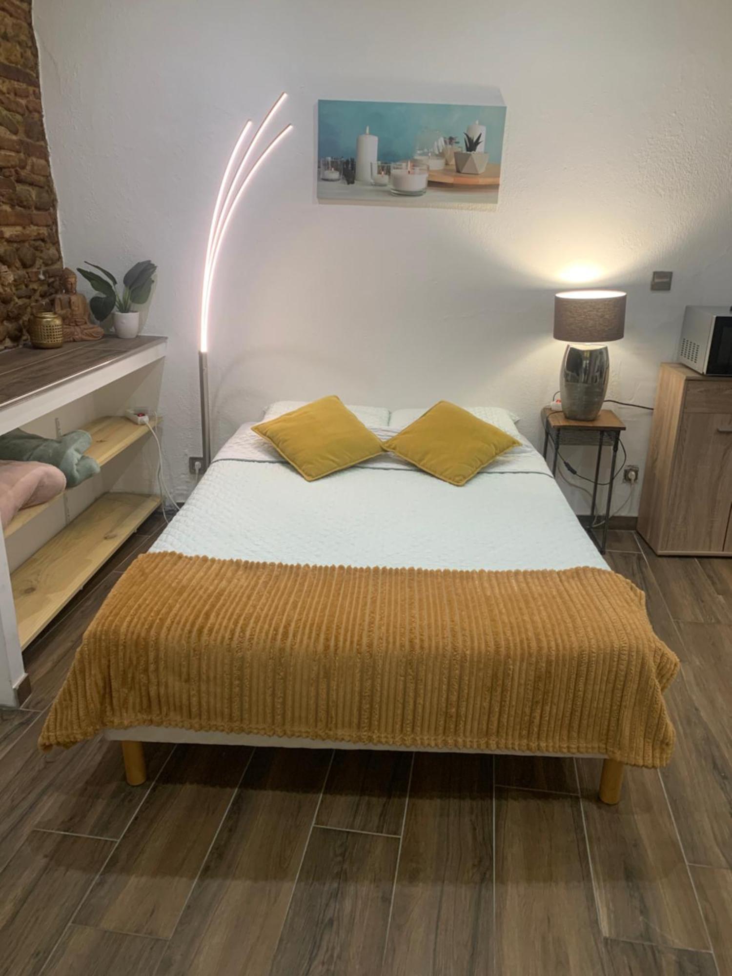 Studio 25M2 En Plein Coeur De Perpignan Luaran gambar